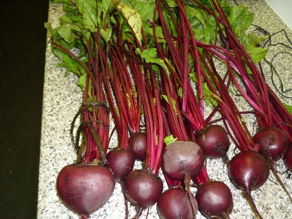 Picture of Beetroot Bonel